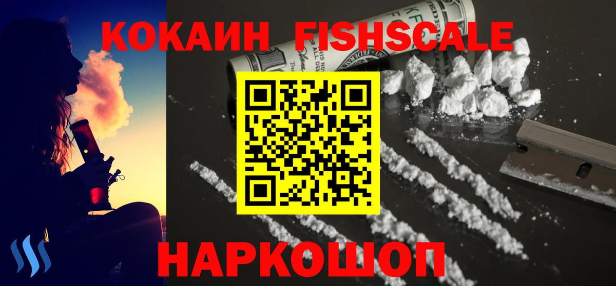 Cocaine FishScale  Вход с VPN  Каменка 