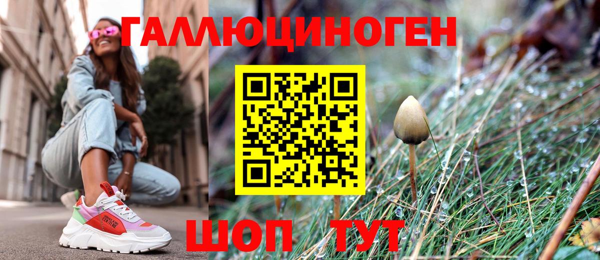 наркота  Вход с VPN  Каменка  Псилоцибиновые грибы GOLDEN TEACHER 