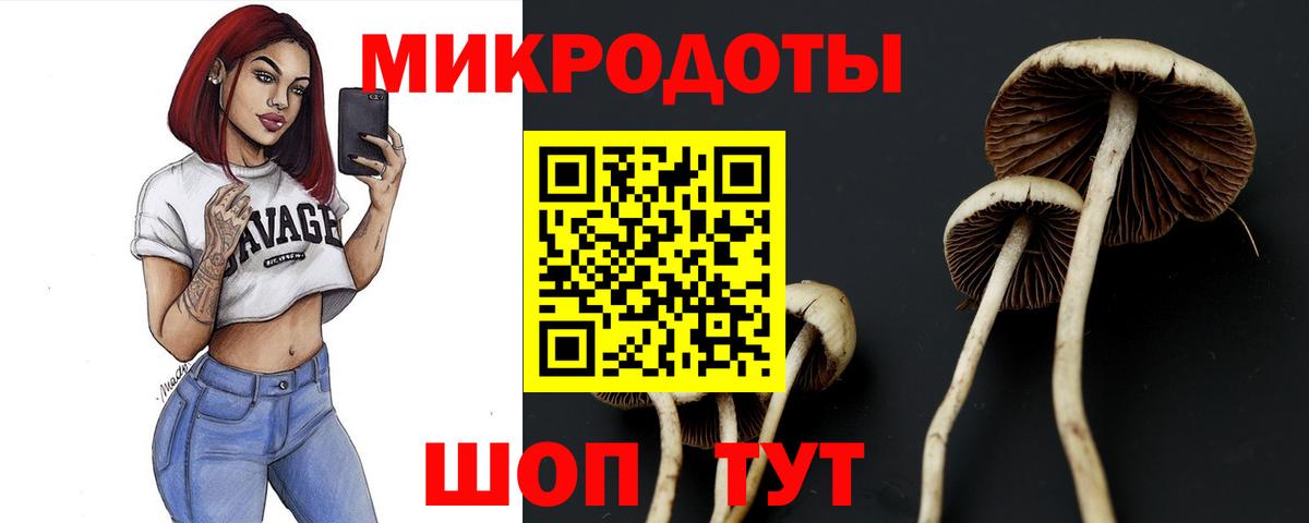 Галлюциногенные грибы мицелий Каменка